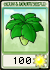 umbrella-leaf